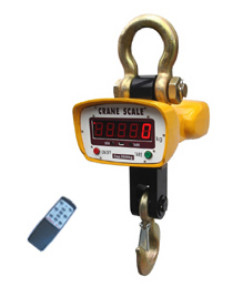 LEIDENE Vertoning 5t Digitaal Crane Scale